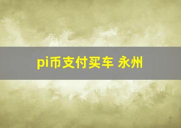 pi币支付买车 永州